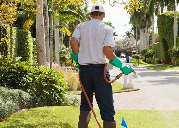 About Kimberton PA Pest Control Pros